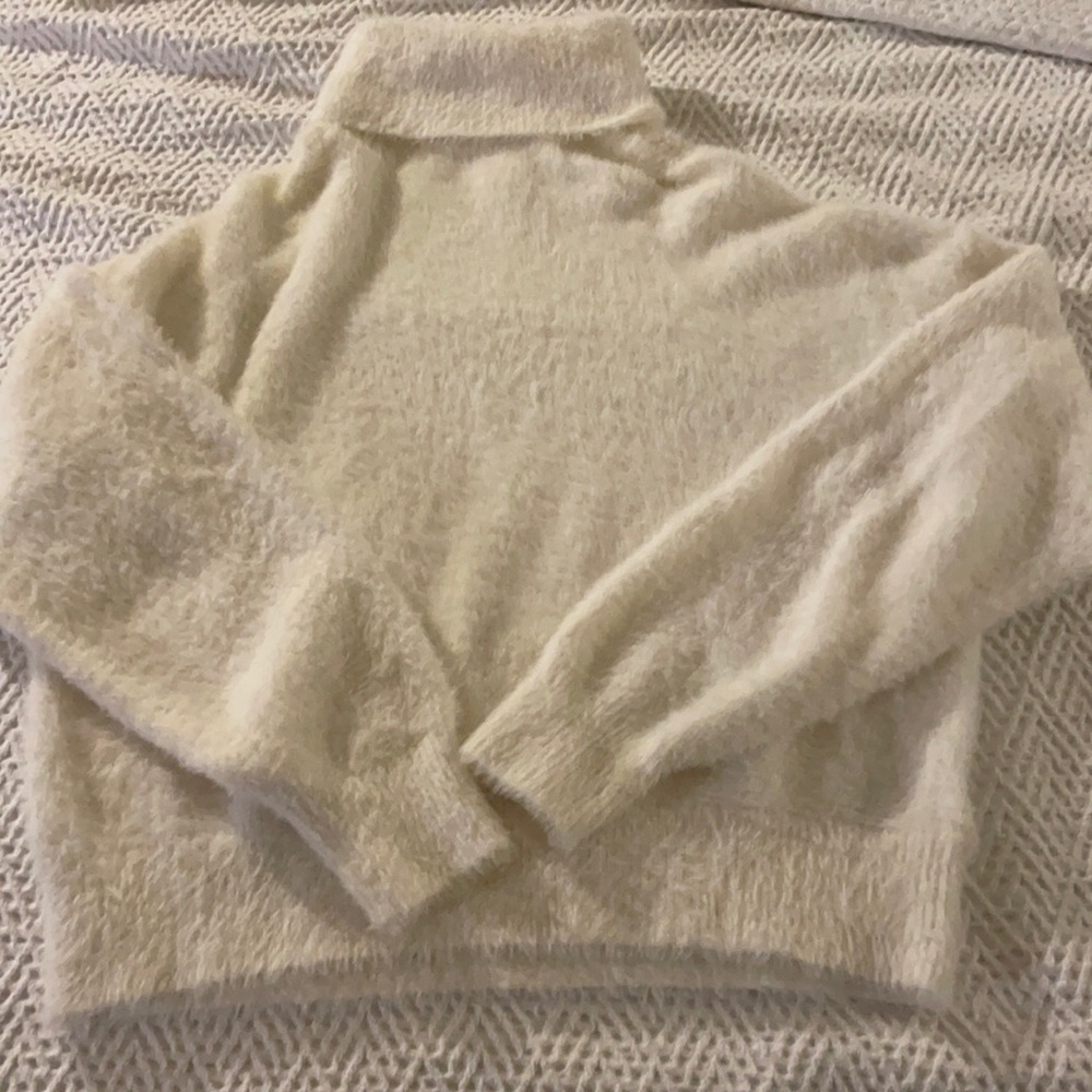 H&M Fuzzy Turtleneck Sweater
